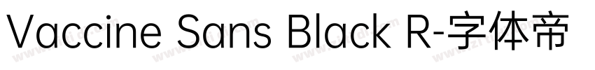 Vaccine Sans Black R字体转换